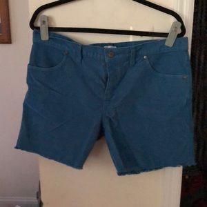 Carve Designs 6 Inch Oahu short blue